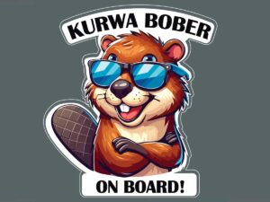 Стикер :"Bober on board"